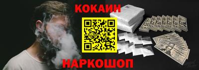 крисы Пенза