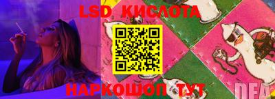крисы Пенза