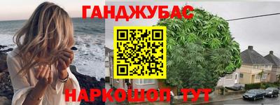 крисы Пенза