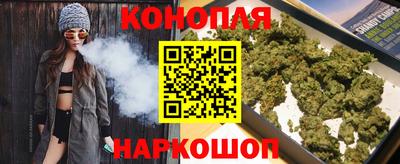 крисы Пенза