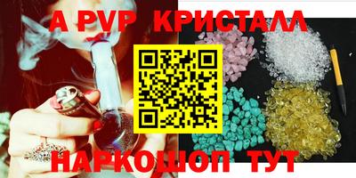 крисы Пенза