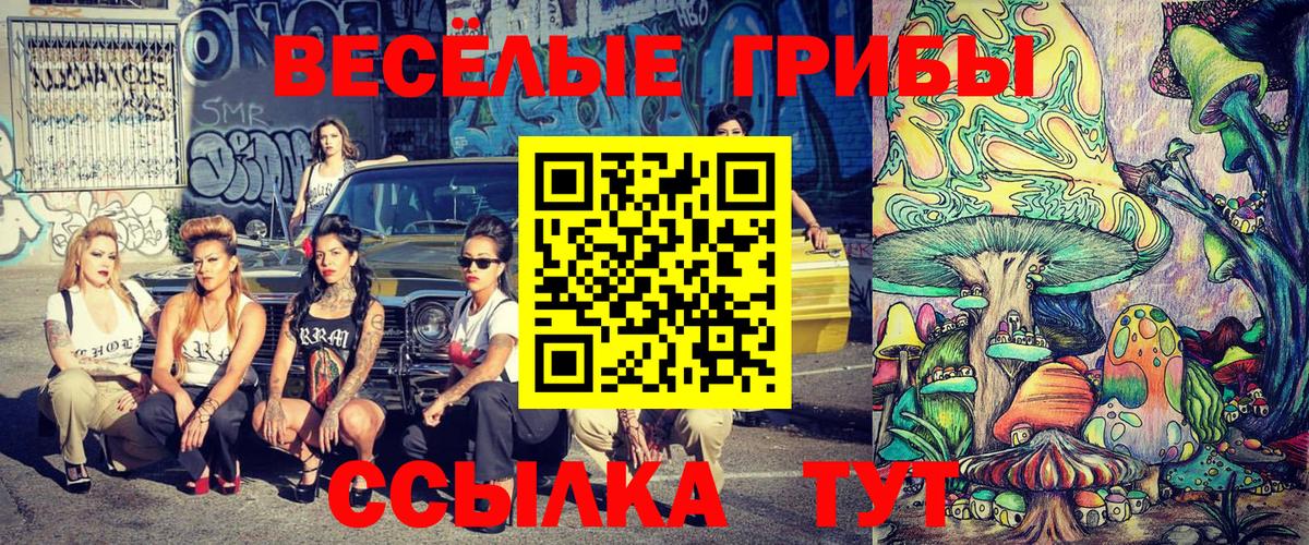 Георгиевск  Псилоцибиновые грибы MAGIC MUSHROOMS  Вход с VPN  Псилоцибиновые грибы MAGIC MUSHROOMS 
