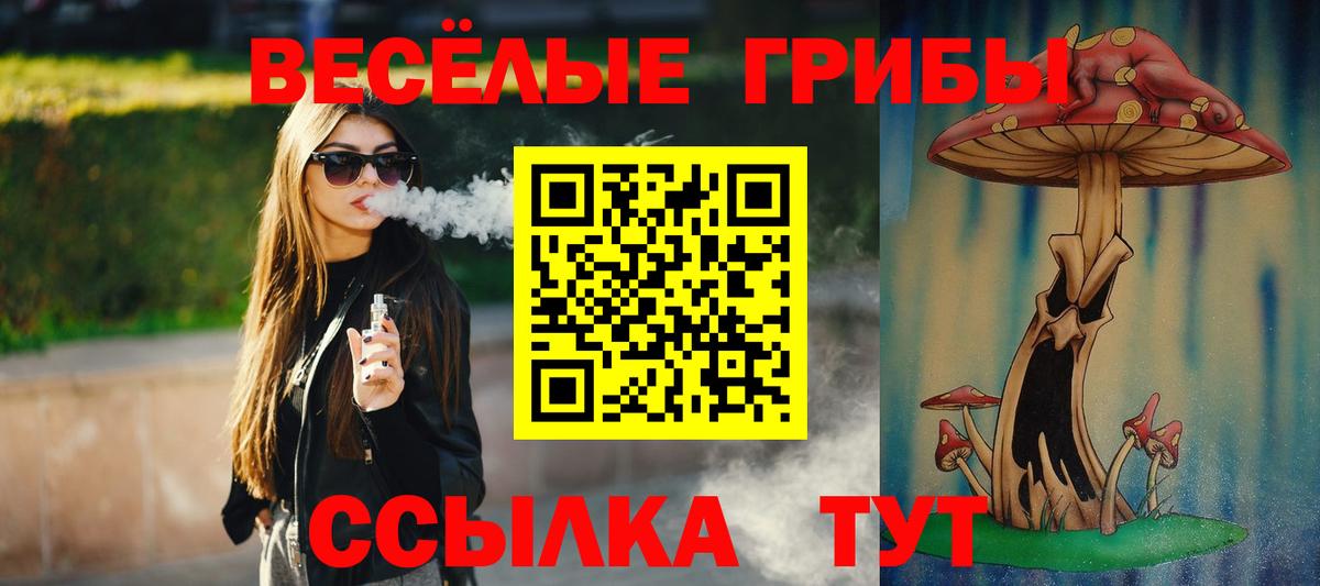 Псилоцибиновые грибы GOLDEN TEACHER Георгиевск